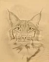1e kat tekening